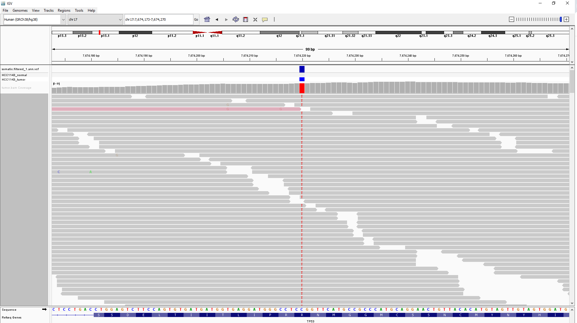 TGV_Result_1 IGV_Result_1
