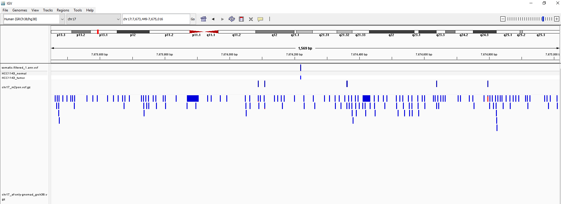 TGV_Result_2 IGV_Result_2